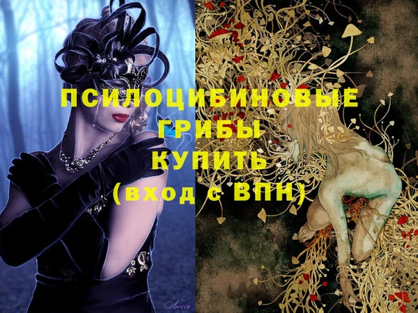 спиды Абинск