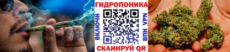 Канабис OG Kush  Разумное 